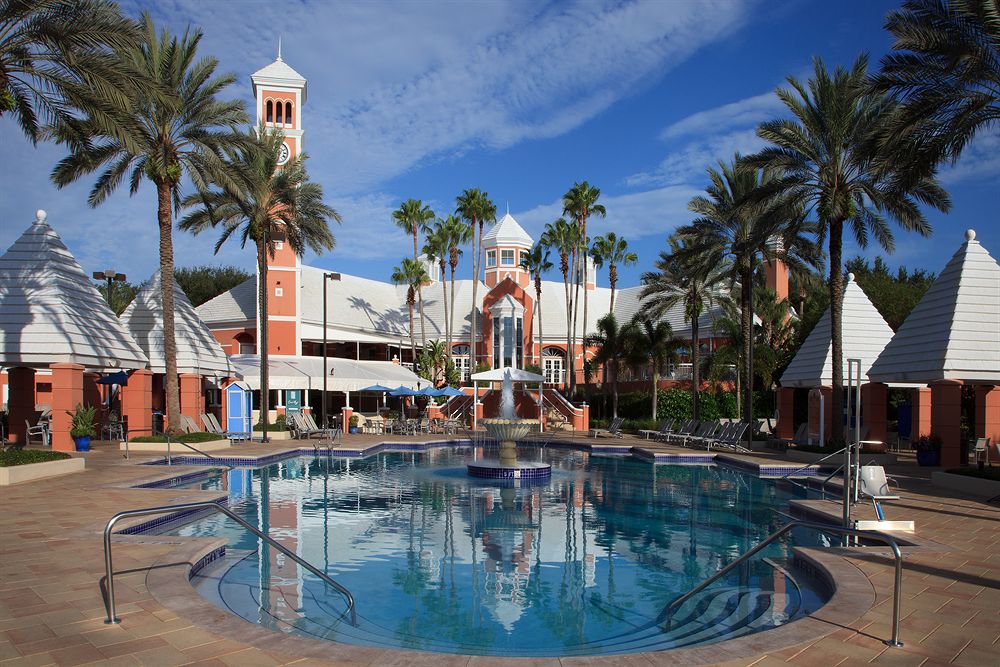 Hilton Grand Vacation Club At Sea World Buy And Sell Timeshares   Hilton Grand Vacations Club At Seaworld Pool2 